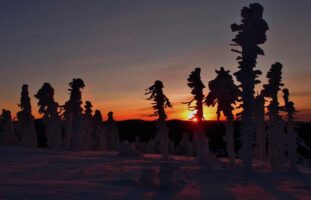 Winterexkursion zum Zwercheck (Arberregion)