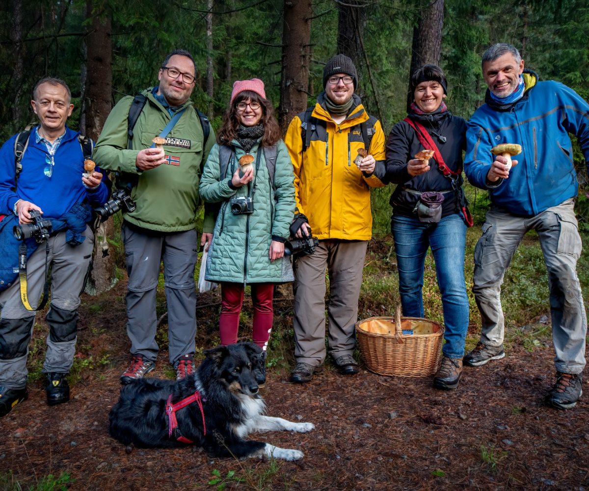 Ausflug zum Schwammerl fotografieren