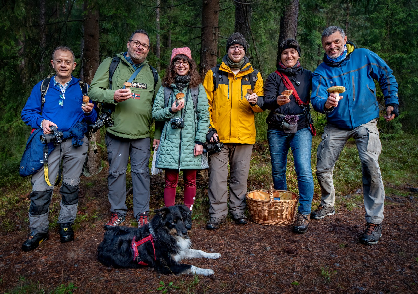 Ausflug zum Schwammerl fotografieren