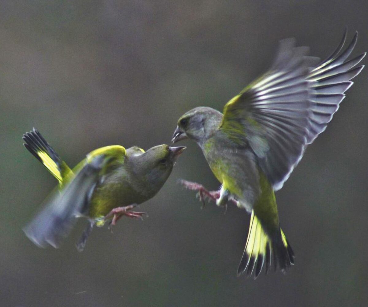 Foto des Monats Februar 2018