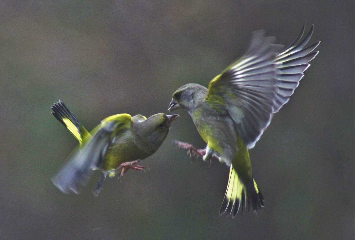 Foto des Monats Februar 2018